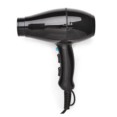 China New Professional DC Motor Hair Dryer Ionic Brushless Salon With Low Noise Quality for sale