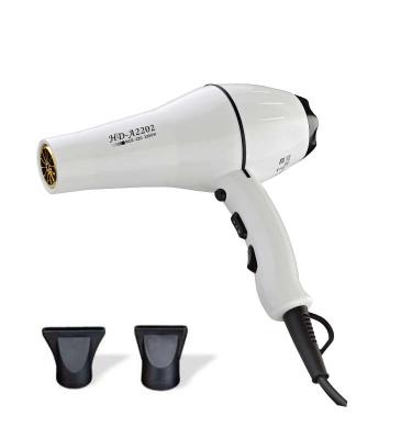 China PHONE 2000 WAT CE ROHS EMC Ionic Professional Salon Hair Dryer Negative Ion for sale