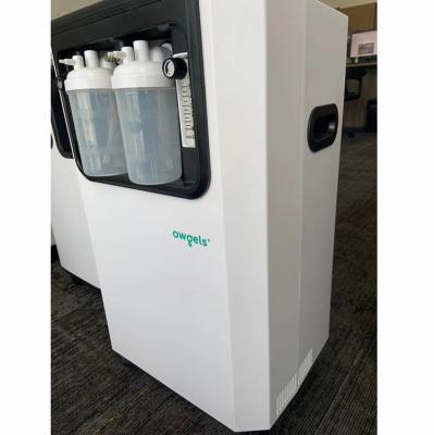 China Hospital Market Office Home Mall Outside Large CE S GS Certification Home Health Care 10L Flow High Purity Oxygen Machine Oxygen Concentrator for sale