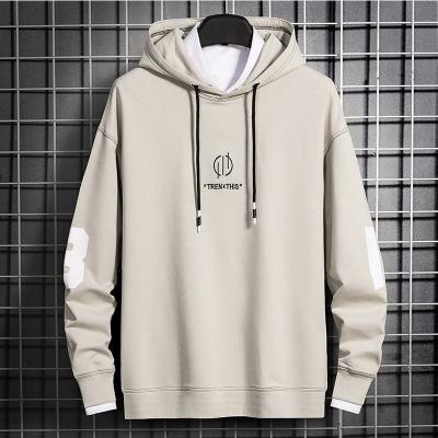 China Korean trend men's new autumn and winter anti-wrinkle leisure men's sweater hooded sweater youth comfortable and soft coat for sale