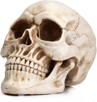 China Europe Best Seller Halloween Statue Skull for sale