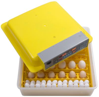 China Small Birds Egg Incubator 36 High Hatching Rate Cheap Chicken Duck Goose Multifunctional Quail Parrot Hatching Machine for sale