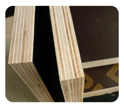 China Modern Combi shuttering core shuttering plywood-film marine film faced plywood melamine glue for construction for sale