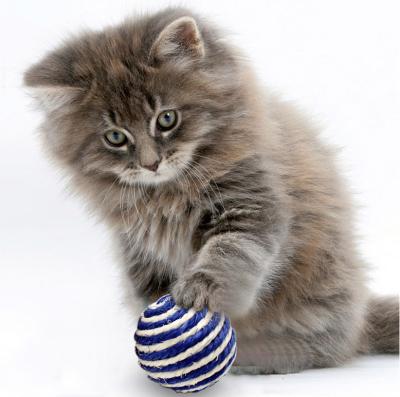 China Wholesale Viable Sisal Ball Pet Sisal Ball Cat Toy Cat Walking Cat Scratching Ball Toys for sale