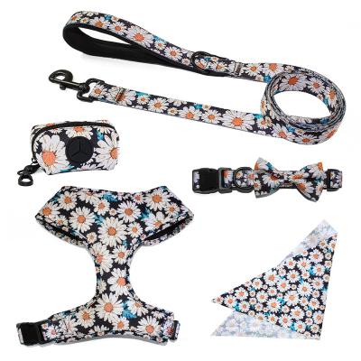 China New Flower Design Broken Dog Design Personalized Custom Harness Sets for sale