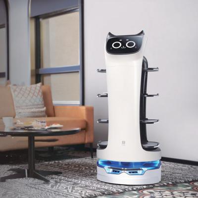 China Newest Automation Equipment Uwant Smart Delivery Street Self Driving Outdoor Food Service Robot for sale