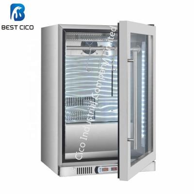 China COMPRESSOR Trade Assurance Homeuse Mini Size Meat Drying Aged Display Refrigerator DA-138B for sale