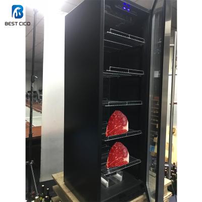 China CHUCK China Manufacturer Freestanding Dry Aged Meat Cabinet Flesh Refrigerators Restaurant Dry Aging Equipment DA-460A for sale