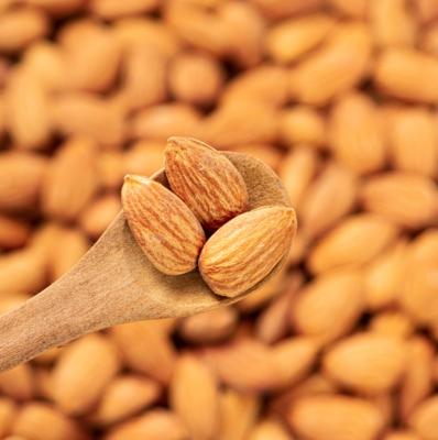 China Rich Nutrition Organic Almonds In Raw Almond Nuts Kernels Organic Bulk For Sale Almond 03 for sale