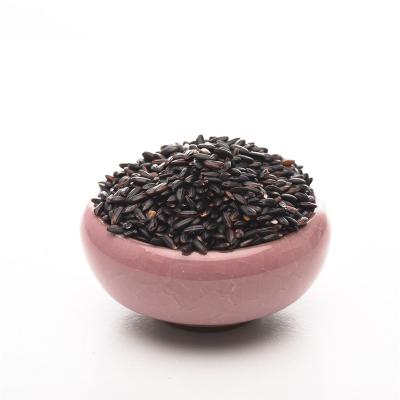 China No Addition New 5A Grade Premium Chinese Black Rice Seeds Bulk Sale 1Kg For One Bag Packing for sale