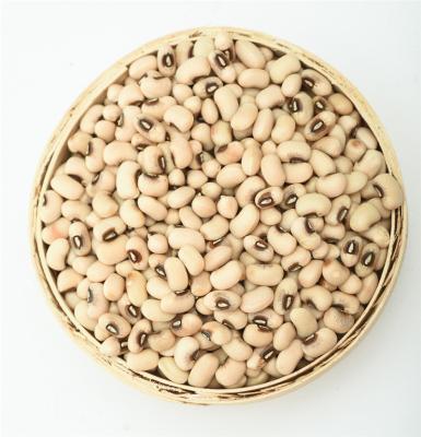 China Agriculture Factory Direct Sale Dry Wholesale Pea Black Eyed Peas Beans Blackeyed for sale