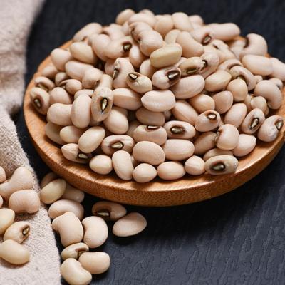 China Premium Quality Dried Nutritious Dense All Kind Of White Eyed Peas Whiteeyed Peas 25Kg/Bag Dried Black Eye Peas for sale