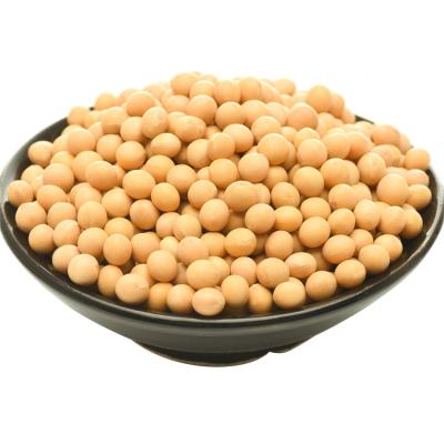 China No Addition Guangzhou Factory Promotion Vacuum Packing Conventional Natural Soy Bean Seeds Yellow Soybeans Good Quality for sale