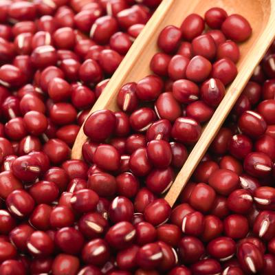 China No Addition Factory Quality Directly Grades Bean Wholesale Cheap Prices For Red Kidney Beans for sale