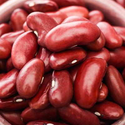 China No Addition Kidney Dwarf Beans High Quality New Chinese Culture Dried Kidney Beans For Wholesale Price for sale