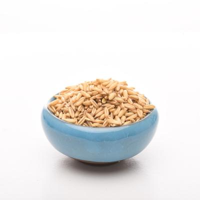 China No addition wholesale factory selling agriculture products oat rice porridge nutrition oatmeal new grain rice grain coarse grains for sale