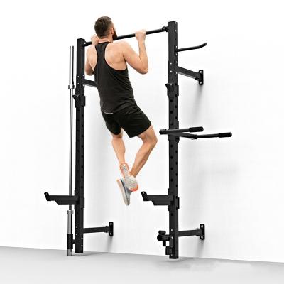 China Hot Selling Gymnasium Or Home Fixtures And Racks Fold Up Wall Mount Rack for sale