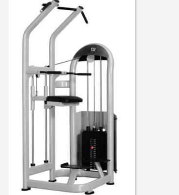 China Hot Sale Gym Fitness Equipment Gym Club Weight Loss Strength Training Machine Chin Up Bar Gym Aid Dip Chin for sale