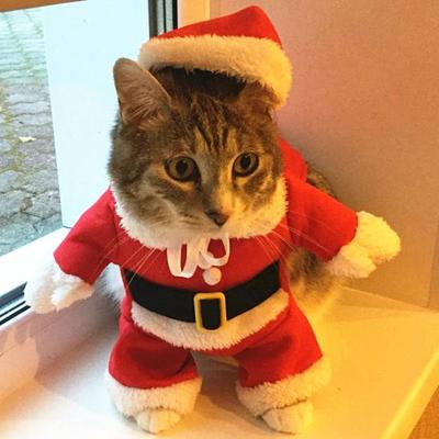 China Viable Christmas Cat Costumes Funny Santa Claus Clothes For Little Cats Dogs Christmas New Year Pet Cat Clothing Winter Kitty Kitten Teams for sale