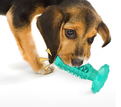 China Wholesale Stocked Nearly Indestructible Dog Toothbrush Stick Dog Chew Toys For Medium Small Dog Breed for sale