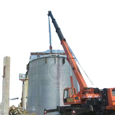 China 10000T Factory Galvanized Grain Maize Maize Storage Silo for sale