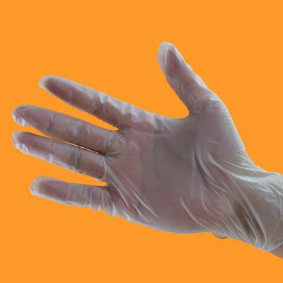 China High Quality Transparent Cheap Disposable Pvc Latex Vinyl Exam Gloves for sale