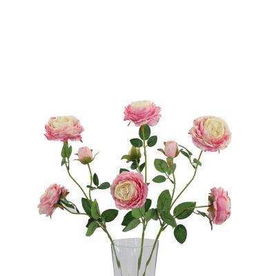 China Paulin 3 Heads Peony Flower Wall Peony Tianjin Artificial Flower Factory for sale