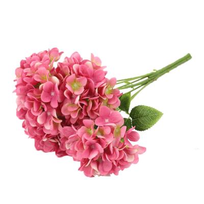 China Artificial Flower Natural Silk Flowers Hydrangea Touch High Quality For Home Decor for sale