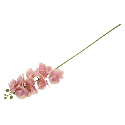 China Real Touch Orchid Tissue Garland Artificial Silk White Rose Flower Wall Decoration For Wedding for sale