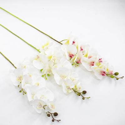 China Real Touch Lusia Artificial Flower Phalaenopsis 2forks 3D Printing 9 Flower Head for sale