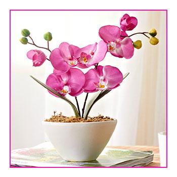 China Wool Hot Selling Artificial Orchid Flower For Wedding Decoration Touch Real Orchid for sale