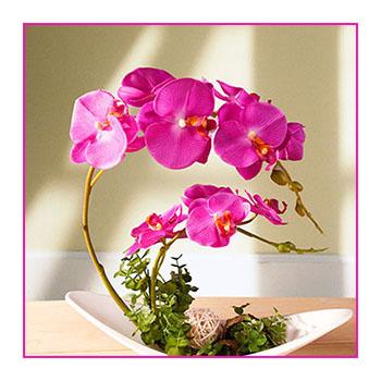 China Home Decoration Orchid Flowers Real Touch Orchid Flower 8heads Artificial Silk Orchid For Wedding Decoration for sale