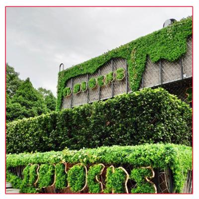 China Outdoor Greenery TIANJIN LUSIAFLOWER Artificial Plants Wall Grass Plant Wall for sale