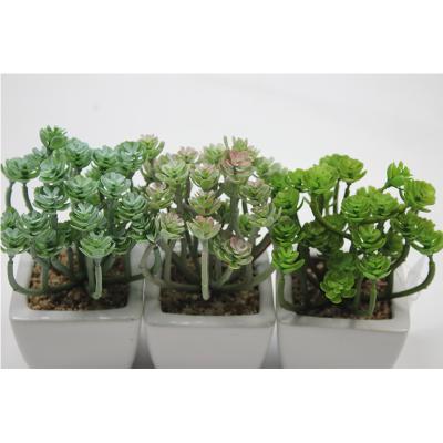 China Home Decotation Mini Artificial Plants Trees Potted for Home/Office Decoration for sale