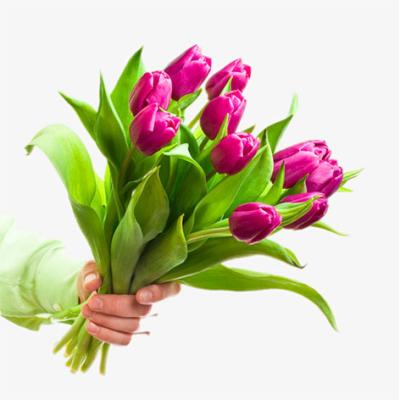 China Cheap Simple Artificial Tulip Flower Tulip Flower Decoration Soap Stem Tulip Home Decoration for sale