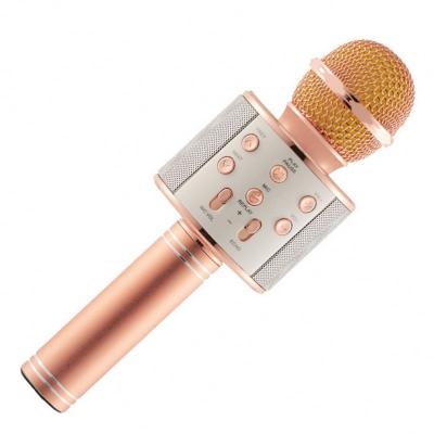 China Hot Sale Ws858 WS 858 Multifunctional Rechargeable Portable Karaoke Microphone BT Wireless Microphone Speakers for sale