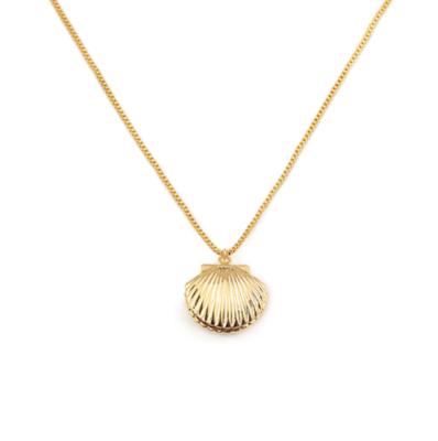 China Klein CLASSIC Fashionable Jewelry Accessories Stylish Brass Shell Shaped Gold Plated Necklaces Jewelry For Wemen for sale