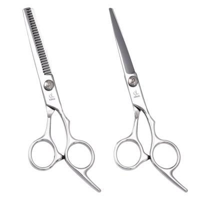 China Professional Barber Salon Cutting Hair Scissors Hairdressing Scissors Thinning Thinning Scissors Set for sale