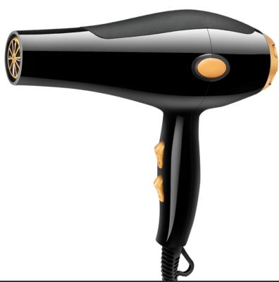 China Ionic Wholesale Hair Salon Professional Hair Dryer Price Hairdressing Dryer Hair Dryer for sale