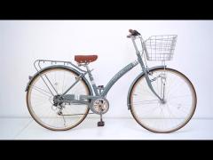 City bike 2