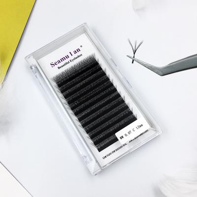 China A1 Wholesale Soft Logo Curl 6D 5D 4D 3D W whips Tapered Shape Lash Extensions Matte Black Silk Volume W for sale