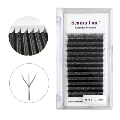 China A1 Wholesale Soft Logo Curl 6D 5D 4D 3D W whips Tapered Shape Lash Extensions Matte Black Silk Volume W for sale