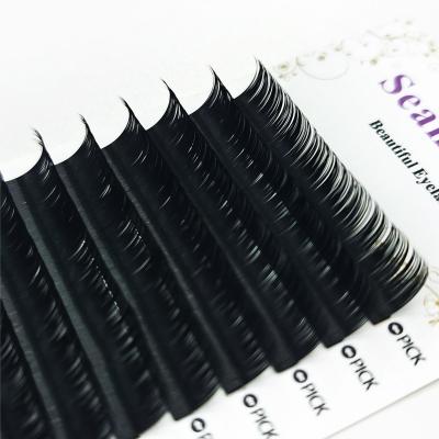 China OEM Natural Soft Lash Extensions Mix Tray Dark Silk Super Fluffy Natural Soft Lash Vendors For Eyelash Extensions for sale