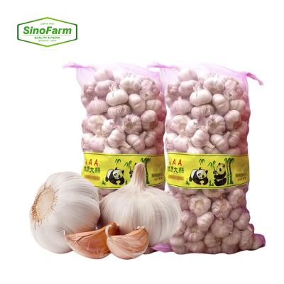 China Fresh Garlic 2020 New Fresh Garlic Cultivation For China Garlic Industry Export for sale