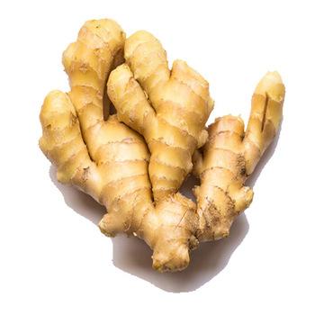 China New Fresh Hot Sale Fresh Ginger Culture Supplied From Professional Ginger Factory With Good Quality And Price In China for sale