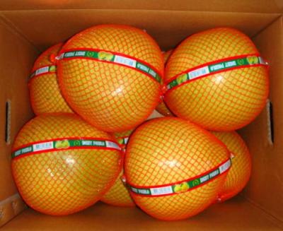 China New Fresh Red Grapefruit Yellow Grapefruit Crop For Wholesale for sale