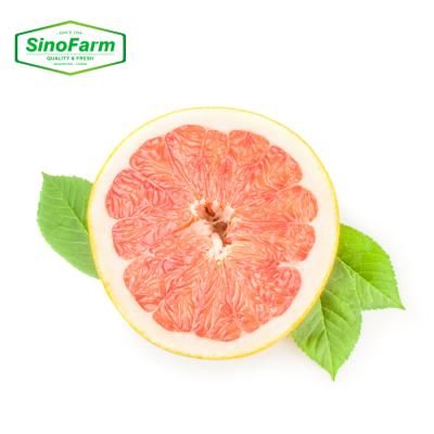 China China New Fresh Three Grapefruit Honey Red Honey Grapefruit Fruit Cultivation for sale