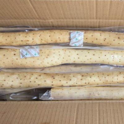 China New fresh yam wholesale price vacuum packaging Chinese fresh yam/iron yam/Ox-leg yam crop other fresh vegetables for sale