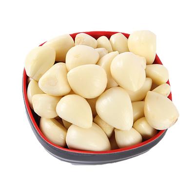 China 2020 Chinese professional new fresh peeled garlic manufacturer fresh peeled garlic supply for sale