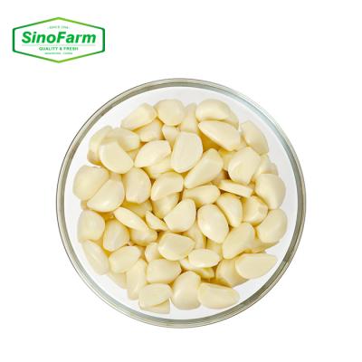 China New Organic Wholesale Export Fresh Skin Garlic Clove Fresh Peeled Garlic Chinese Supplier for sale